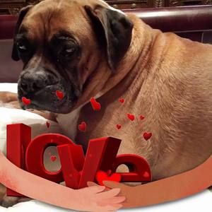 Meet your Posher, Theresa